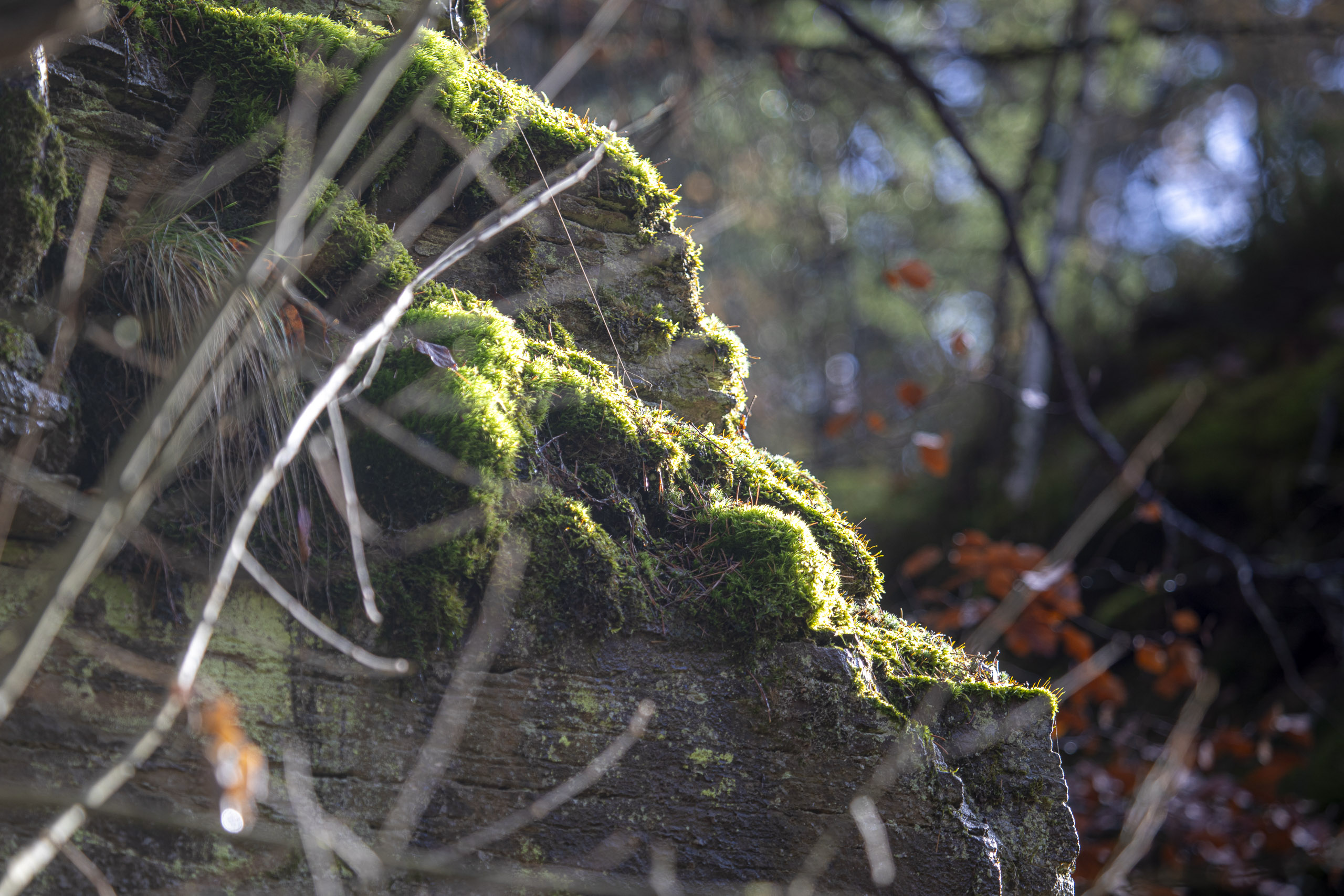 20251129123127 RD4 0858